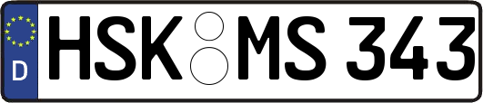 HSK-MS343