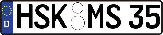 HSK-MS35