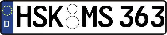 HSK-MS363