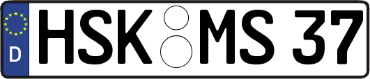 HSK-MS37