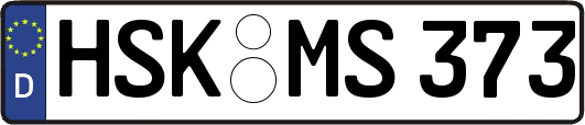 HSK-MS373