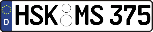 HSK-MS375