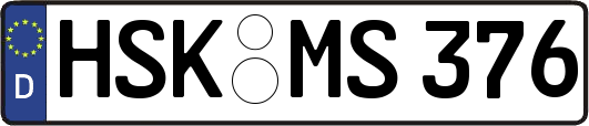 HSK-MS376
