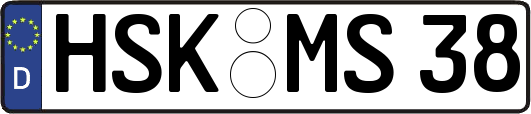 HSK-MS38