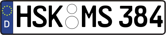 HSK-MS384