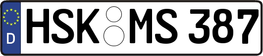 HSK-MS387