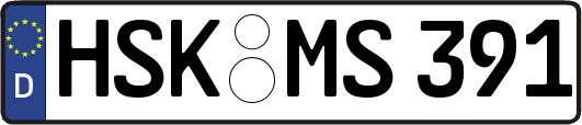 HSK-MS391