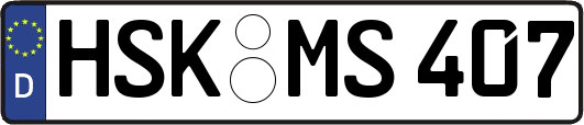 HSK-MS407