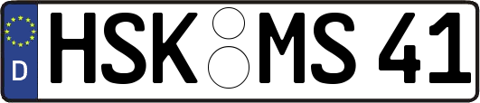 HSK-MS41
