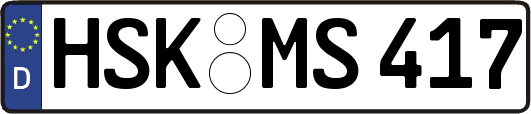 HSK-MS417