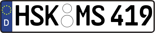 HSK-MS419