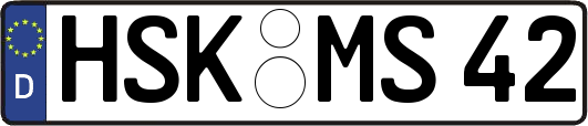 HSK-MS42