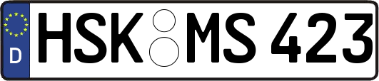 HSK-MS423