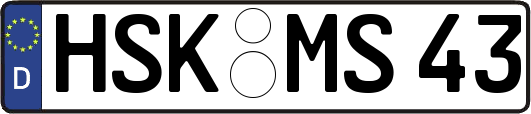 HSK-MS43