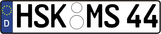 HSK-MS44