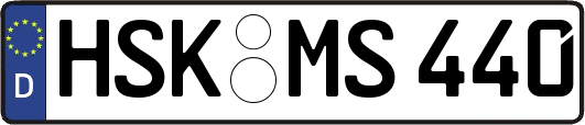 HSK-MS440