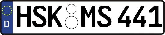 HSK-MS441