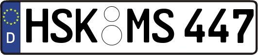 HSK-MS447