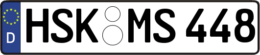 HSK-MS448