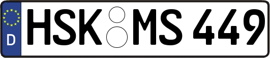 HSK-MS449