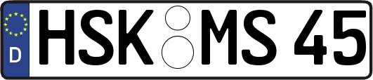 HSK-MS45
