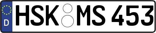 HSK-MS453