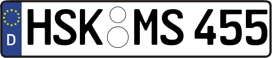 HSK-MS455