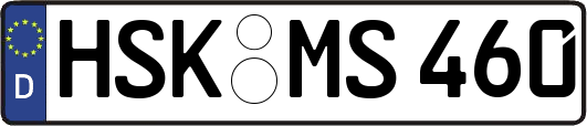 HSK-MS460