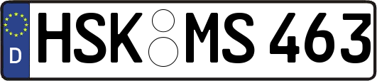 HSK-MS463