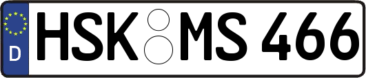 HSK-MS466