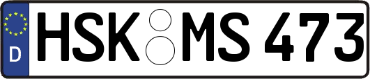 HSK-MS473
