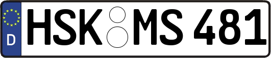 HSK-MS481