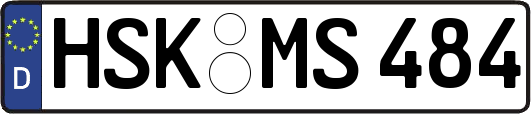 HSK-MS484