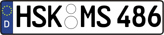 HSK-MS486