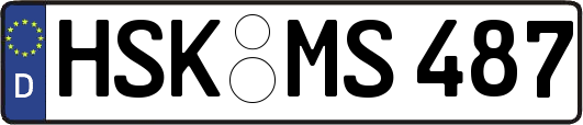 HSK-MS487