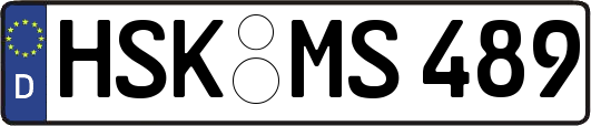 HSK-MS489