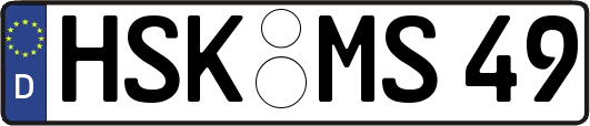 HSK-MS49