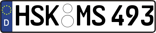 HSK-MS493