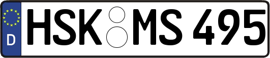 HSK-MS495