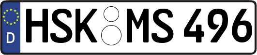 HSK-MS496