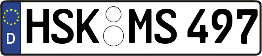HSK-MS497