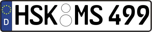 HSK-MS499