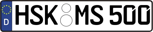 HSK-MS500