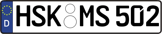 HSK-MS502