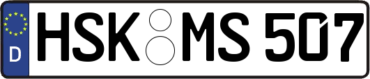 HSK-MS507