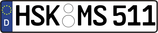 HSK-MS511
