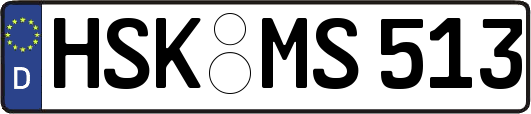 HSK-MS513