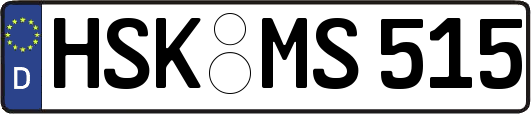 HSK-MS515