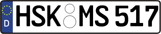 HSK-MS517