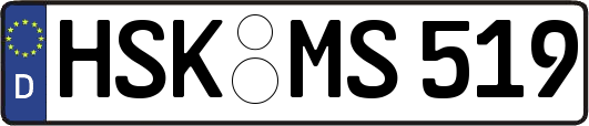 HSK-MS519